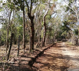 Terreno en Venta en Km 26.5 Carretera a El Salvador, 7.7 Manzanas 