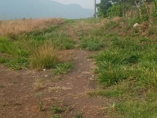 Terreno en venta, en Escuintla - 4
