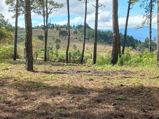 Venta de Terreno Rustico - Hacienda Las Llanuras Km 43 Sumpango - 2