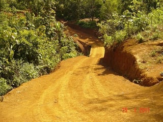 Fincas en VENTA en El estor Izabal y Alta Verapaz - 2