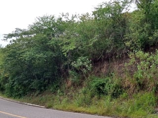 Terreno en Venta  en Sanarate, El Progreso - 2