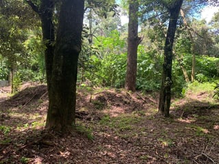 TERRENO EN VENTA EN EL ENCINAL, MIXCO - 3