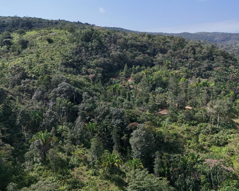 TERRENO EN VENTA EN IZABAL, CAMINO DE LA RUIDOSA  A RIO DULCE