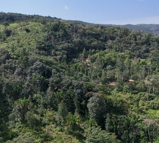 TERRENO EN VENTA EN IZABAL, CAMINO DE LA RUIDOSA  A RIO DULCE