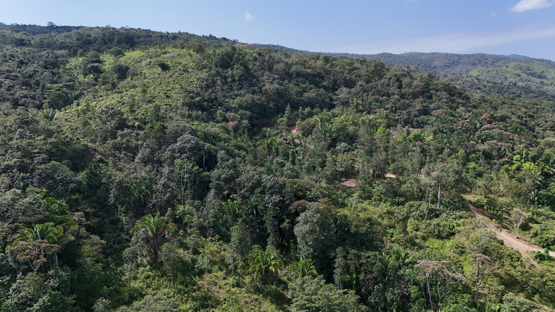 TERRENO EN VENTA EN IZABAL, CAMINO DE LA RUIDOSA  A RIO DULCE