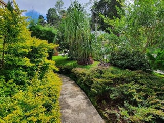 CASA EN CONDOMINIO EN ALQUILER EN KM 13.5 CARRETERA EL SALVADOR - Image 17