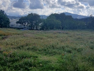 Terreno Comercial en Renta en Zaragoza, Chimaltenango - 2