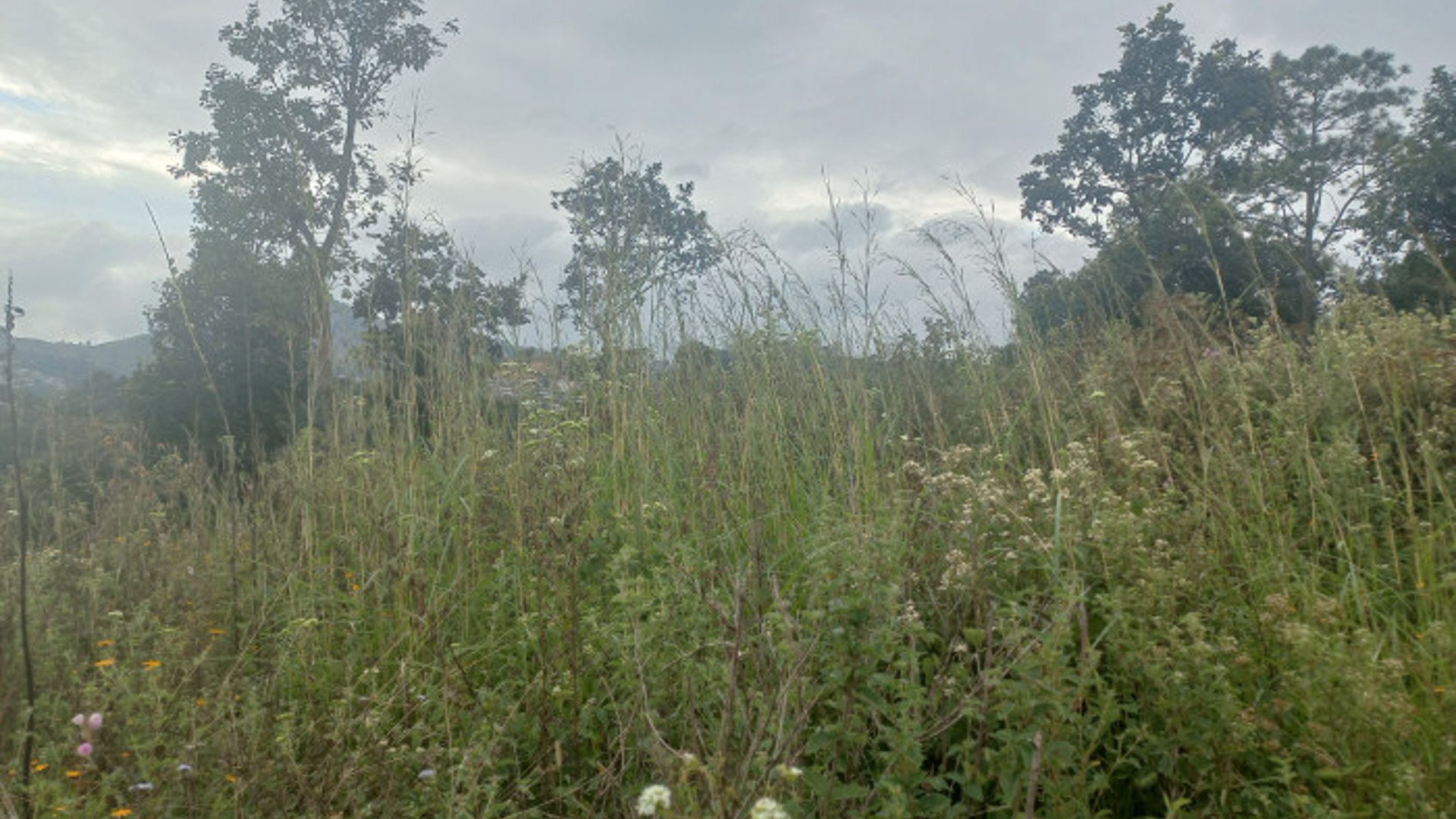Terreno Comercial área San Pedro Ayampuc - Miniatura 2