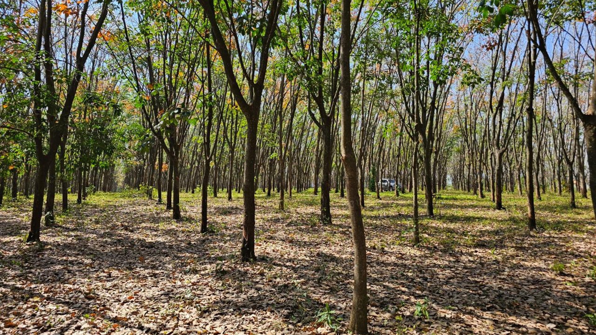 Finca en venta en Coatepeque Quetzaltenango Ref-5948 - Miniatura 3