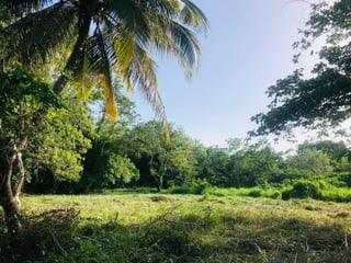 Terreno en Venta en Livingston Izabal - 5