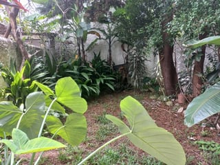 Vendo Preciosa Casa de 2 niveles en Z.2 Ciudad Nueva - Image 8