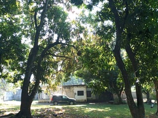 Terreno en Venta en Escuintla - 2