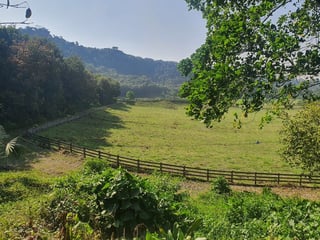 Exclusiva Finca en Venta cerca de Patulul, Suchitepéquez - 3