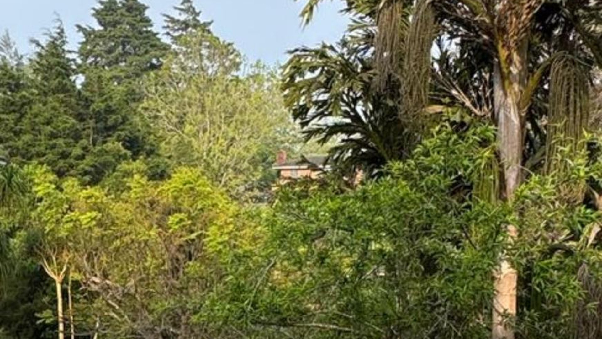 Terreno en venta, Las Casuarinas km 18.5 Carretera a El Salvador  