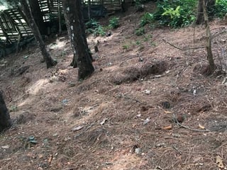 Muxbal/ Terreno en venta, CES - 2