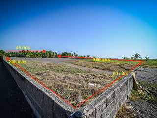 Terreno en Venta en Iztapa, Escuintla  - 3