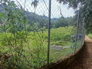 Terreno 1 manzana en venta en Santiago Sacatepequez - 4