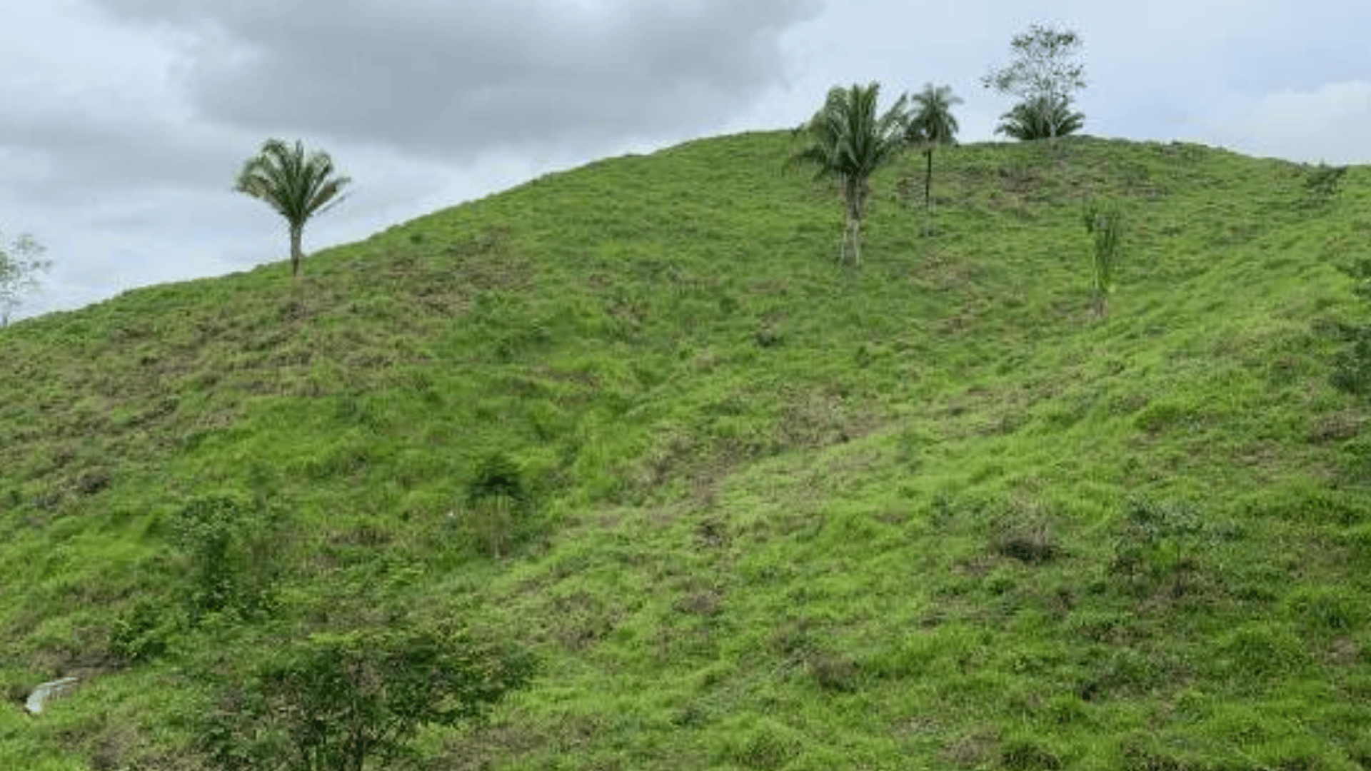 Finca en VENTA en Municipio Nuevo Chahal, Alta Verapaz - Miniatura 4