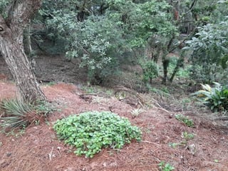 Terreno en Venta en Urbanización Las Cumbres, Zona 16 - 3