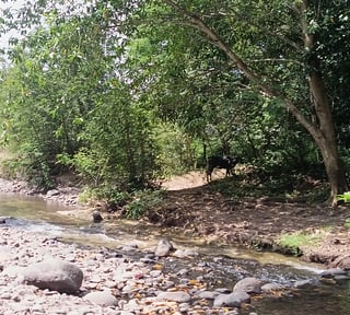 Finca en venta de 15 caballerias Oratorio Santa Rosa