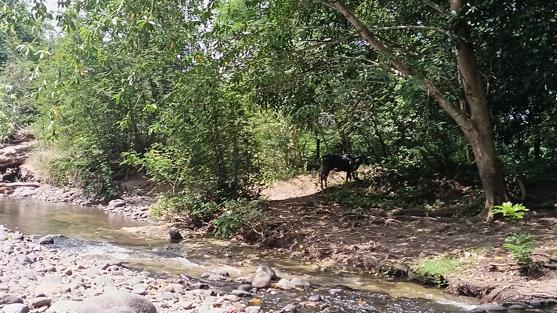 Finca en venta de 15 caballerias Oratorio Santa Rosa