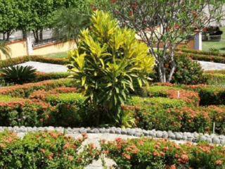 Terreno en VENTA en  Km 79 Autopista Puerto Quetzal - 4