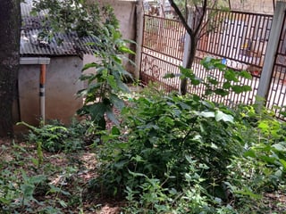 Terreno en venta en Ciudad San Cristobal - Image 4