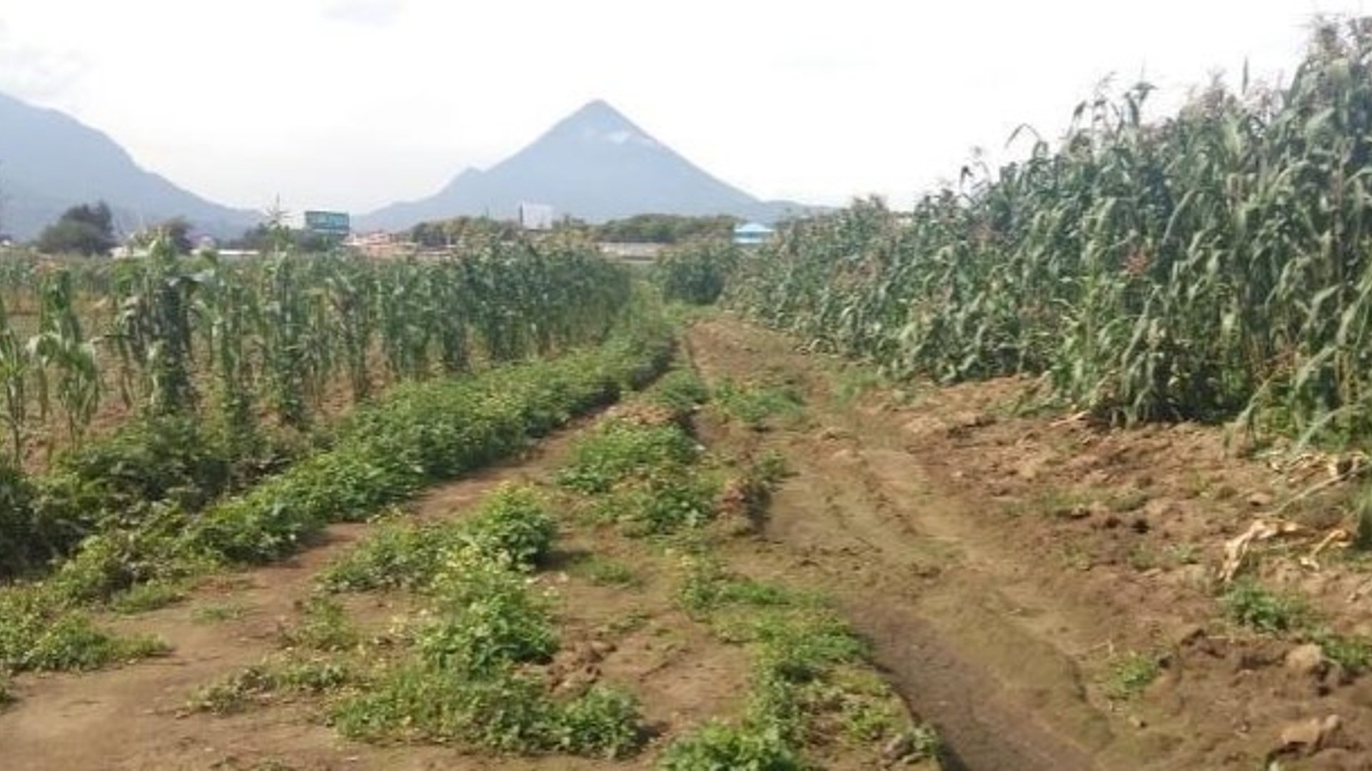 Terreno en Venta en Quetzaltenango Totalmente Plano y Urbanizado