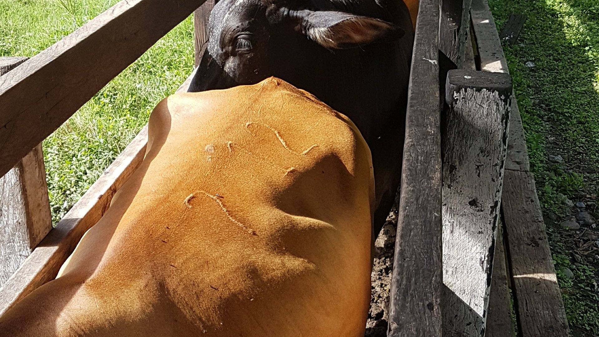 FINCA EN VENTA EN ALDEA EL SAUCE  - Miniatura 17