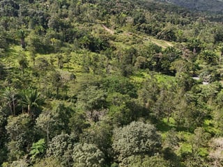 TERRENO EN VENTA EN IZABAL, CAMINO DE LA RUIDOSA  A RIO DULCE - 5