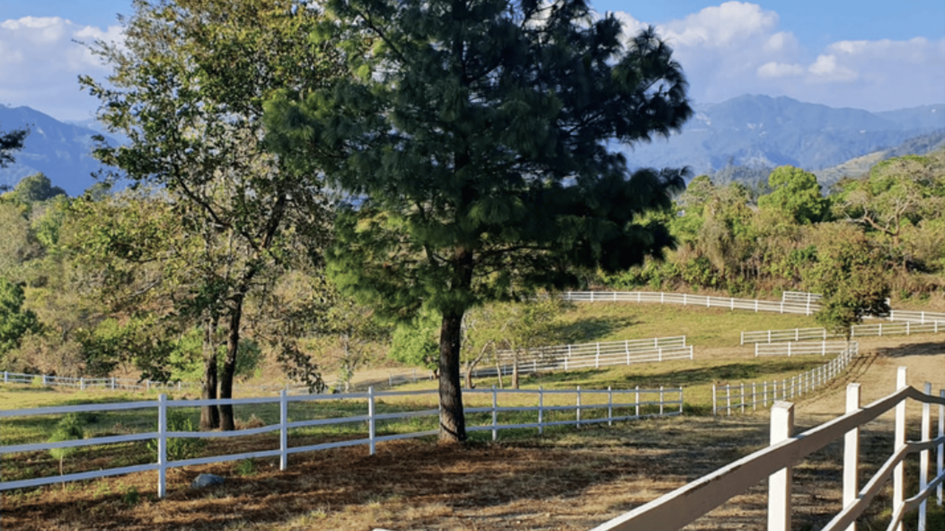 ATITLÁN / Terreno en venta SAN ANDRÉS LAKEVIEW - Miniatura 3
