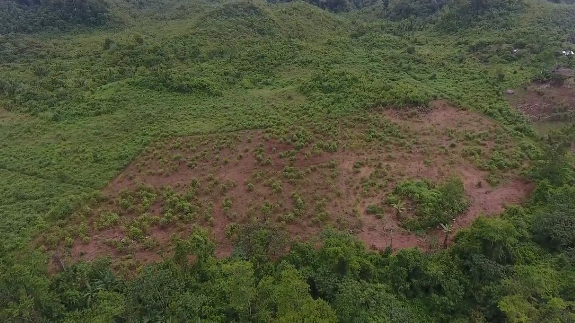 FINCA EN VENTA EN ALTA VERAPAZ - Miniatura 17