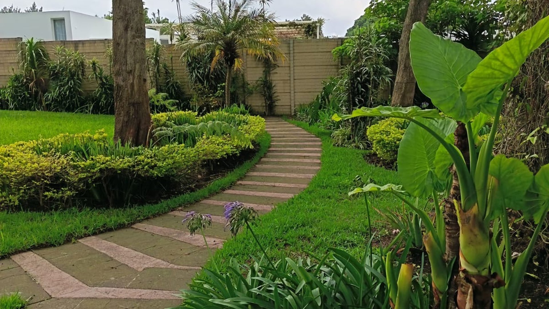 Residencia de Lujo en Guatemala | Opción en Venta y Renta - Miniatura 5