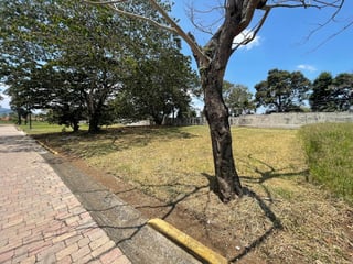 📍 TERRENO EN VENTA  | SAN MARTÍN DE ALLENDE | KM. 29.5 FRAIJANES - 3