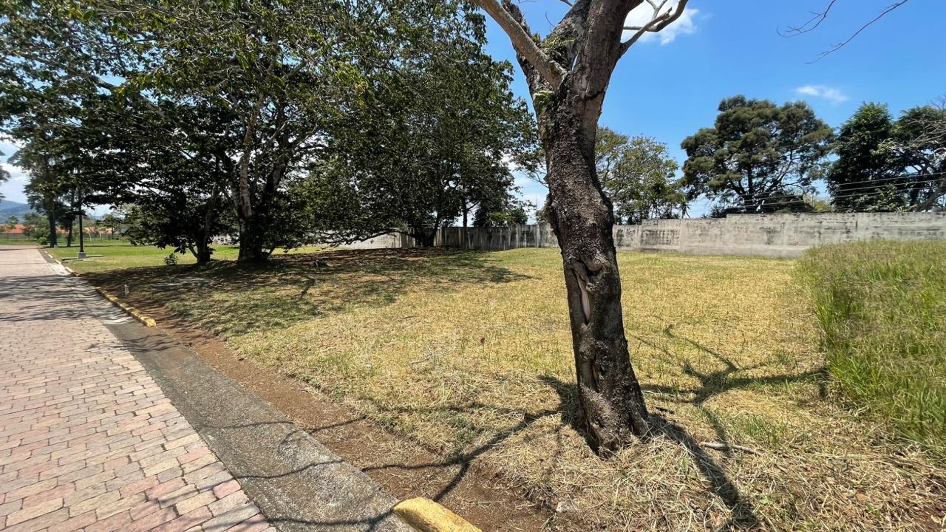 ???? TERRENO EN VENTA  | SAN MARTÍN DE ALLENDE | KM. 29.5 FRAIJANES - Miniatura 3