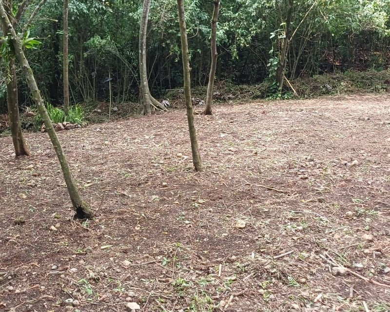 Terreno en Venta en La Reunión Antigua