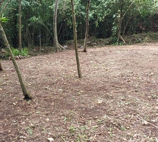 Terreno en Venta en La Reunión Antigua