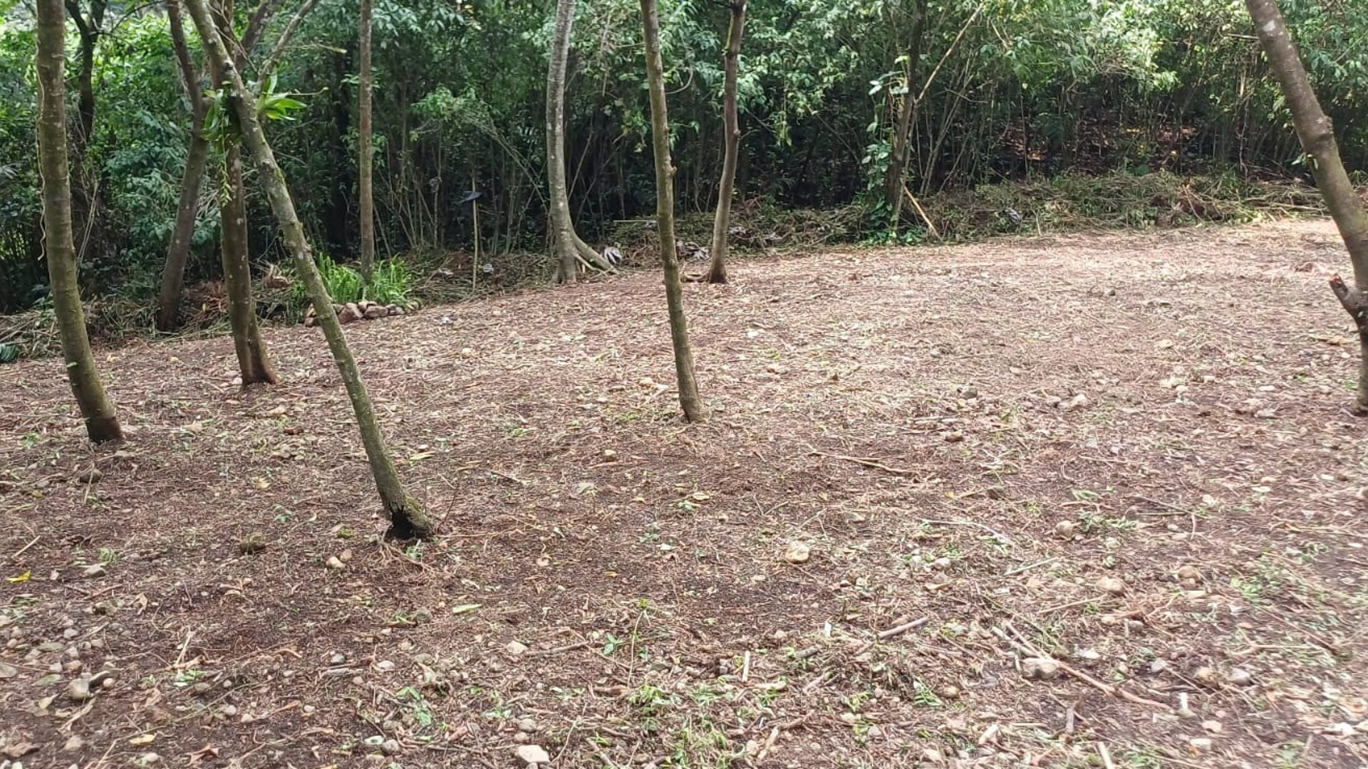 Terreno en Venta en La Reunión Antigua