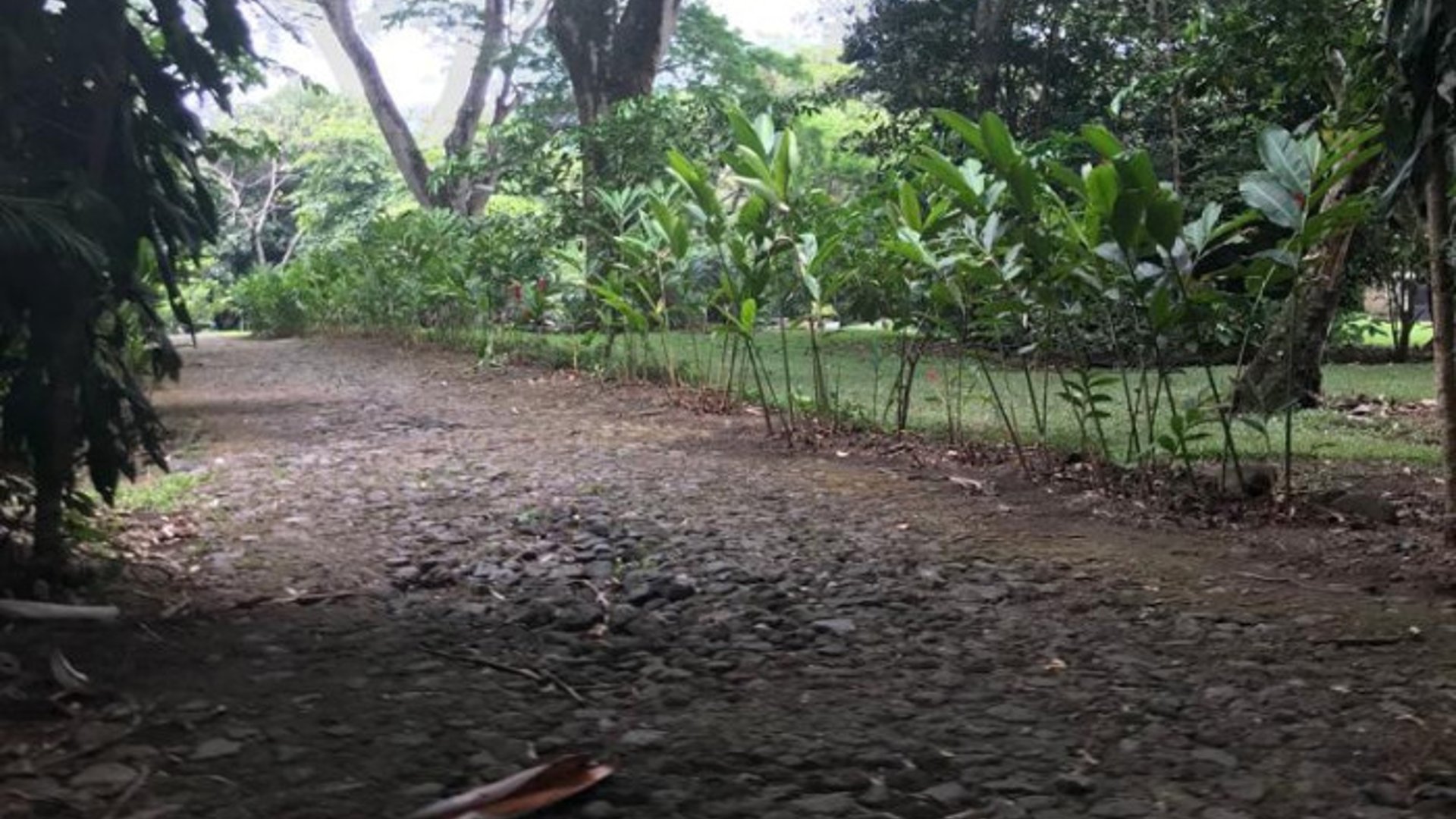 TERRENO EN VENTA CAMPO AVENTURA PALIN ESCUINTLA - Miniatura 8