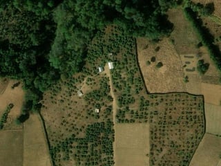 Finca en Producción de Aguacate Hass | 5.88 Mz en Chimaltenango - 3
