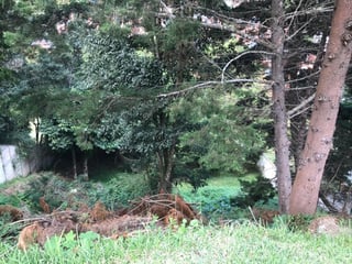 Terreno en Venta Bosques de las Luces Guatemala - 2
