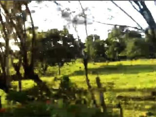 Terreno en Venta en La Libertad, Peten - Image 7