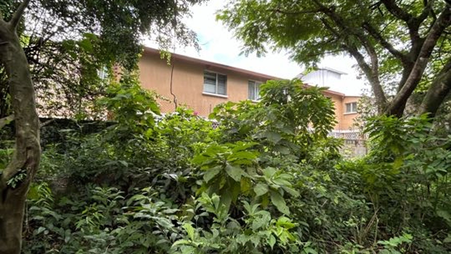 Vendo Terreno en zona 2 Ciudad Nueva - Miniatura 7