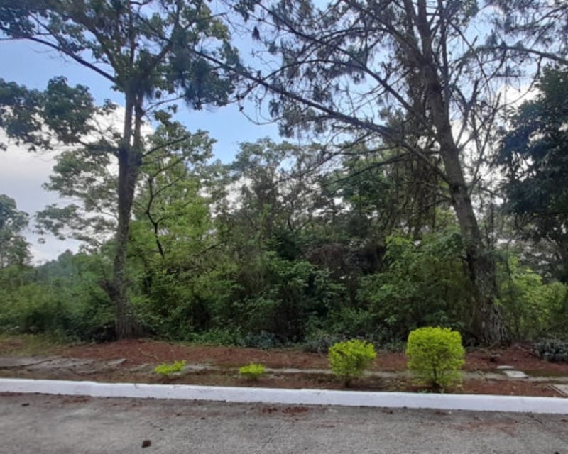 Terreno en Venta en Alta Vista Country Club