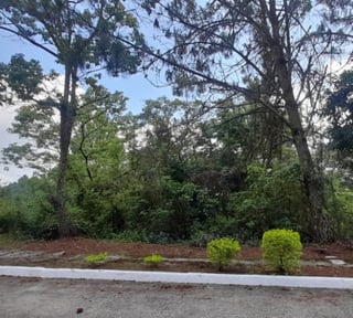 Terreno en Venta en Alta Vista Country Club