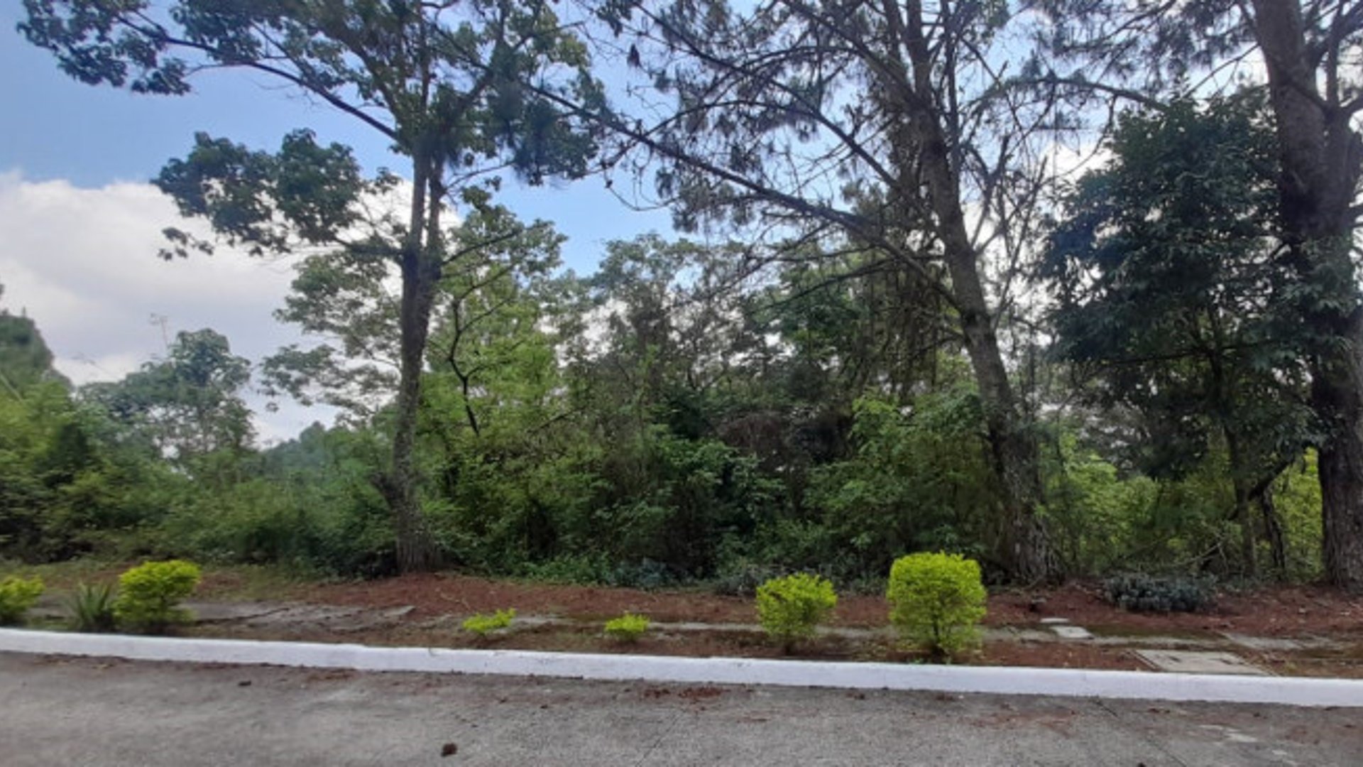 Terreno en Venta en Alta Vista Country Club