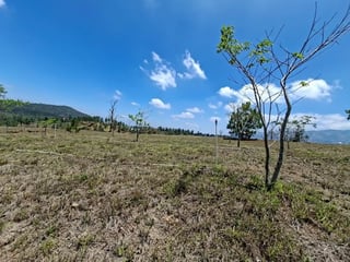 Se vende terreno en Exclusivo Club de zona 16 - 3