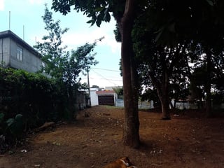 📍 TERRENO EN VENTA – SAN LUCAS | SACATEPEQUEZ - 4