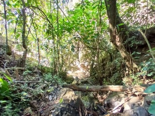 Finca en Venta en Fraijanes, Guatemala | Km 16-30 - 4