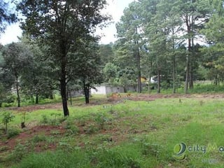 TERRENO EN VENTA EN SANTA MARIA CAUQUE - 5